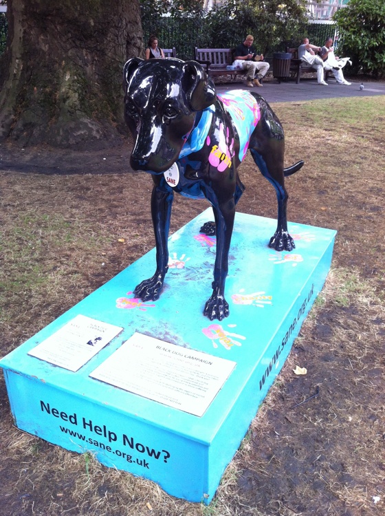 blackdog