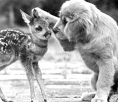 kindness