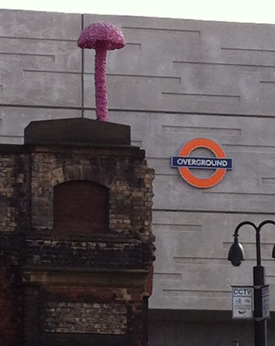 overgroundmushroom