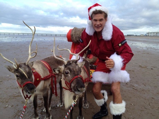 hasselhoffxmas
