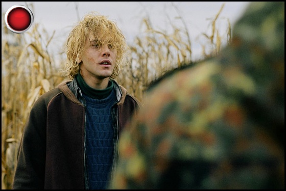 Tom at the Farm red light