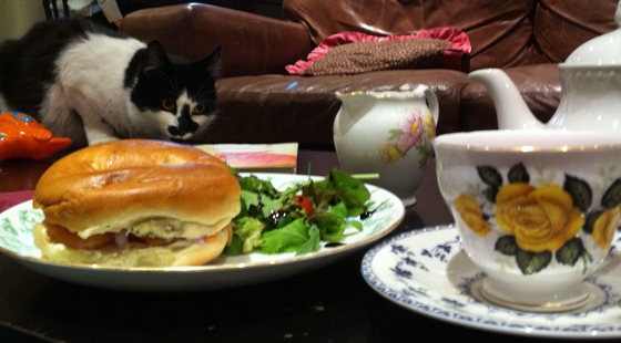 bagelcat