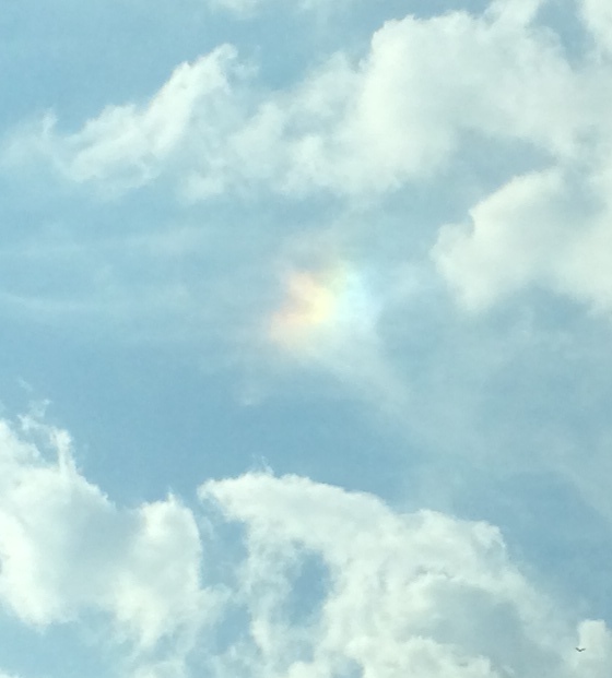 rainbowblob