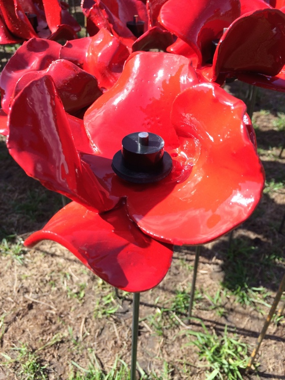 assemblingpoppies2