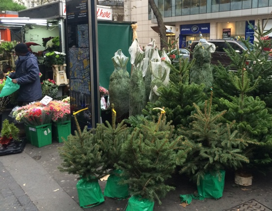 sidewalkschristmastrees