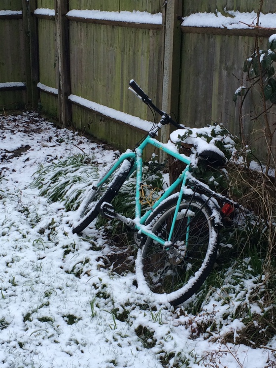 snowybike