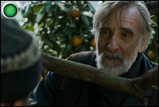 Tangerines green light