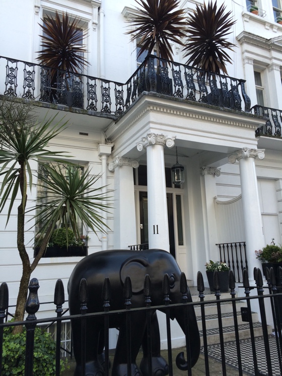 babyelephant