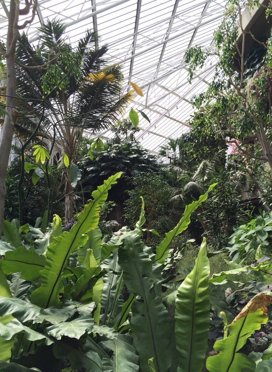 barbicanconservatory6b
