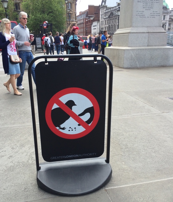 donotfeedpigeons