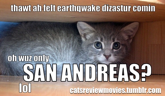 Cats Review Movies San Andreas