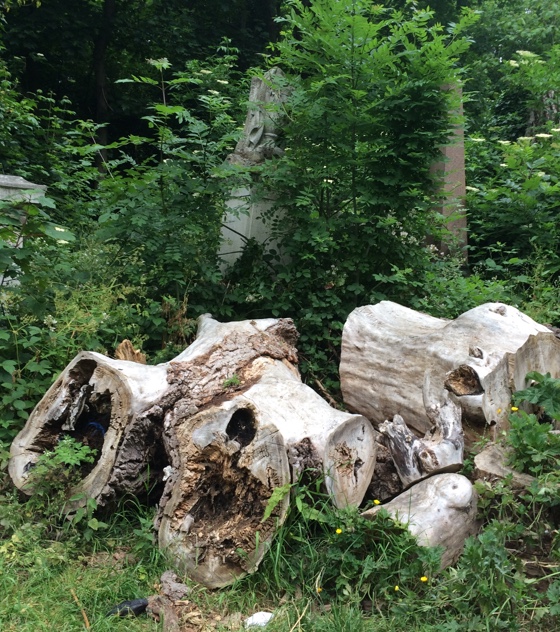 abneypark1