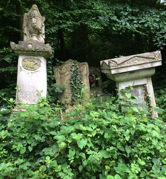 abneypark3