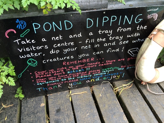 camleypond2