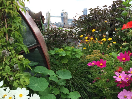 gardenbarge1