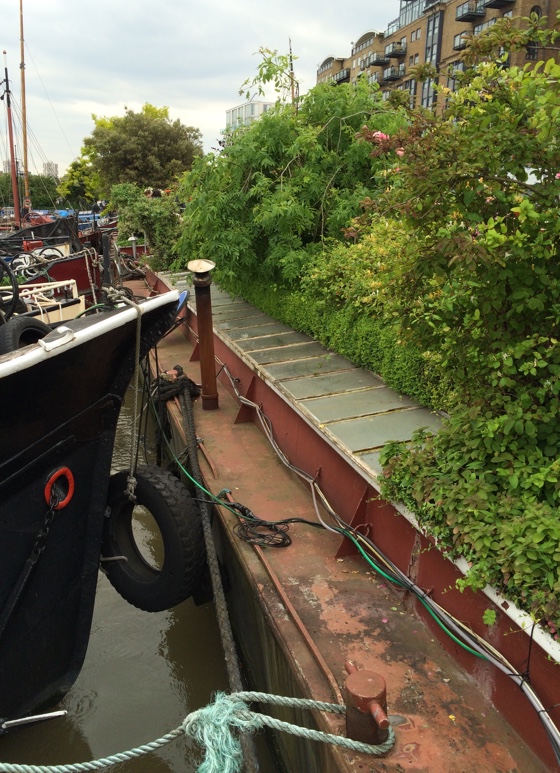 gardenbarge2