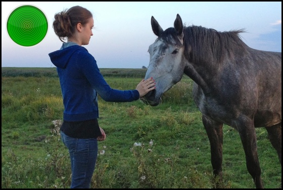 Of Girls and Horses green light
