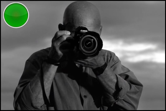 The Salt of the Earth green light