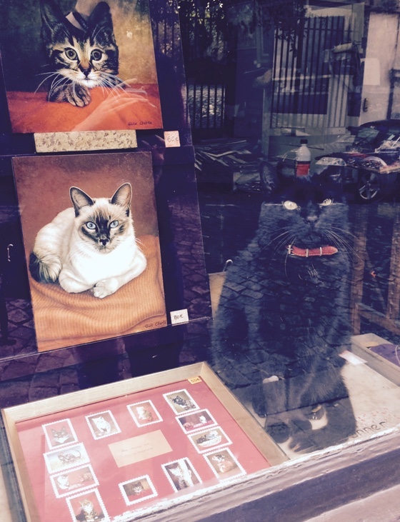artcat
