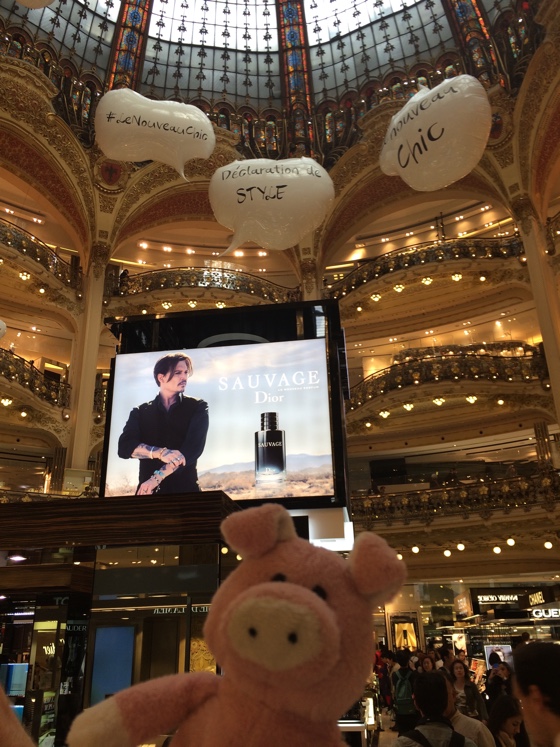 nigelgaleries1