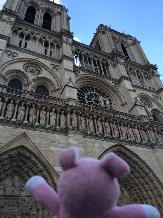 nigelnotredame1