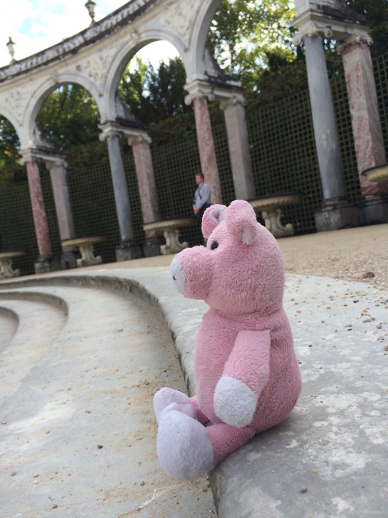nigelversailles9