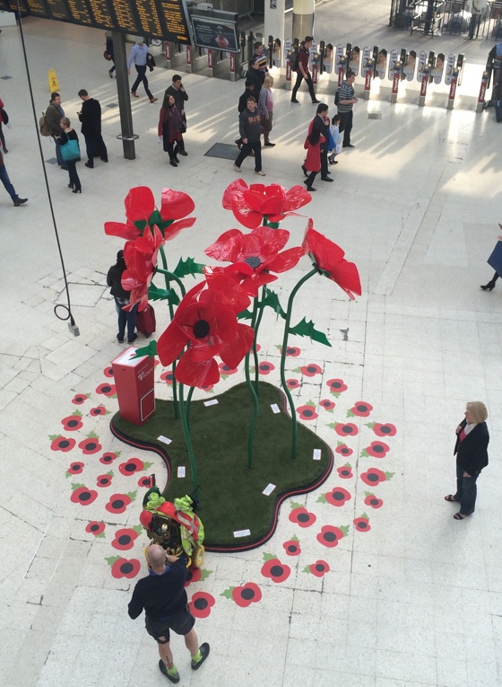 giantpoppies2