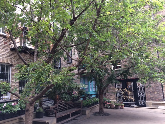 chingcourt1