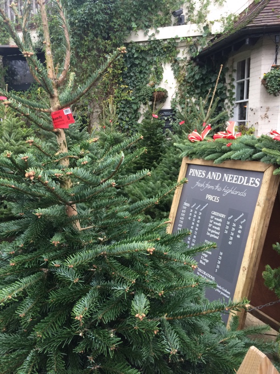 christmastrees