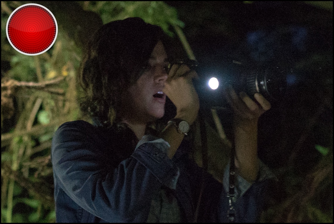 Blair Witch red light