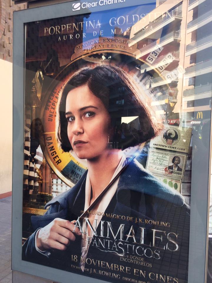 15391154_10154950054909406_7979448359732397470_n