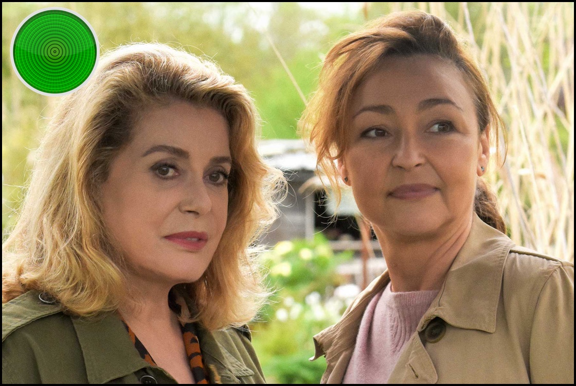 The Midwife green light