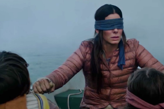 Bird Box Sandra Bullock