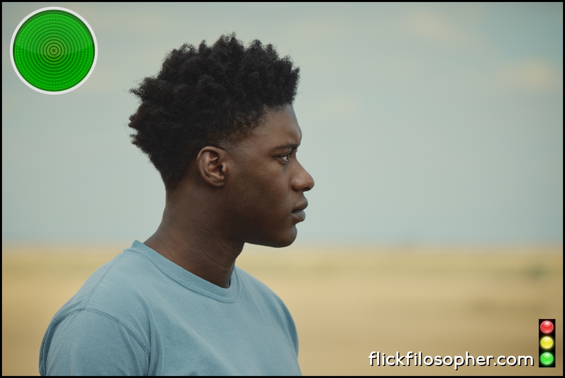 The Last Tree green light