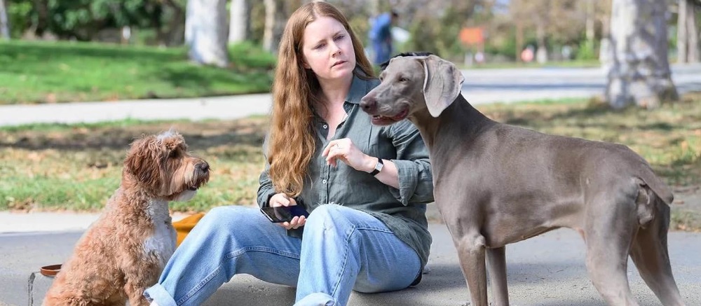 Nightbitch Amy Adams